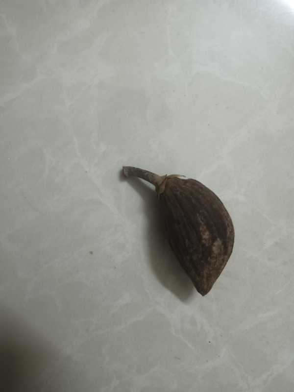 IMG_20250127_201229.jpg