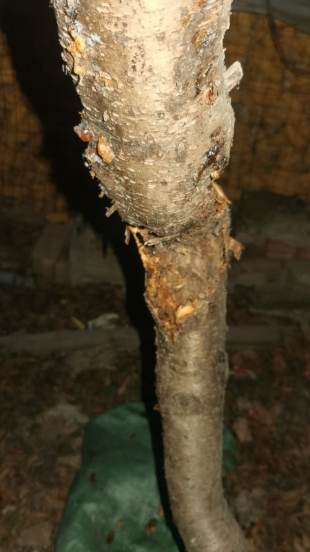 wx_camera_1738404537369.jpg