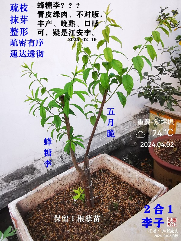 IMG_20240402_185450.jpg