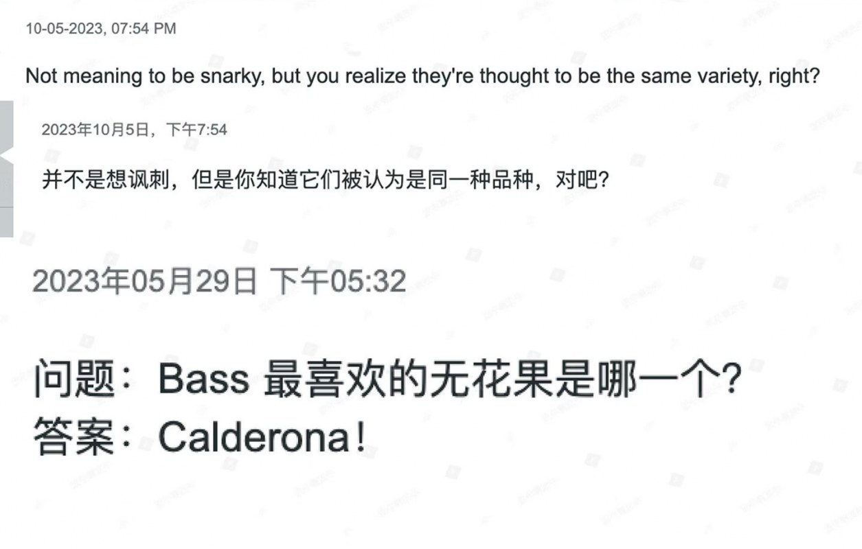 ˹-Bass&#039;-Favorite-1_05.jpg