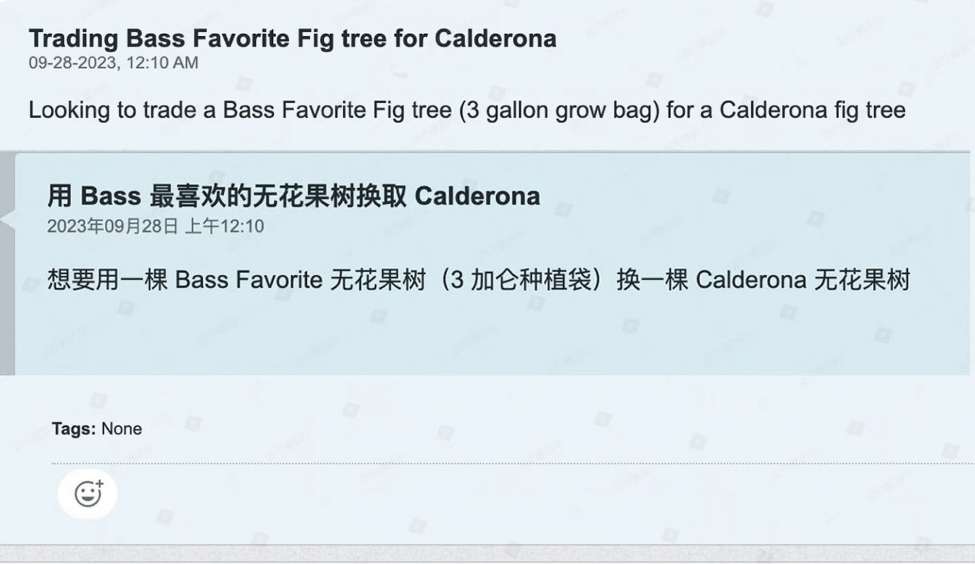 ˹-Bass&#039;-Favorite-1_04.jpg