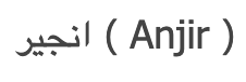 WX20250223-012249@2x.png