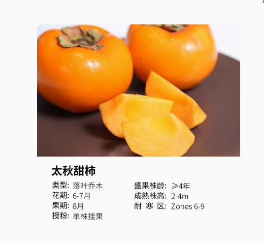 cb4abe104fad835f246c92e7d7cd0b6.png