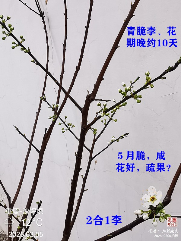 IMG_20250305_164215.jpg