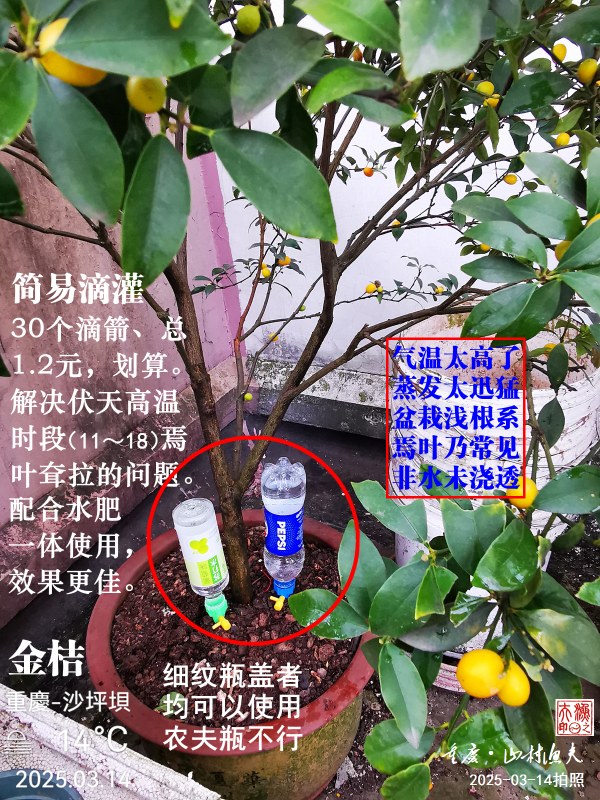 IMG_20250314_153037.jpg