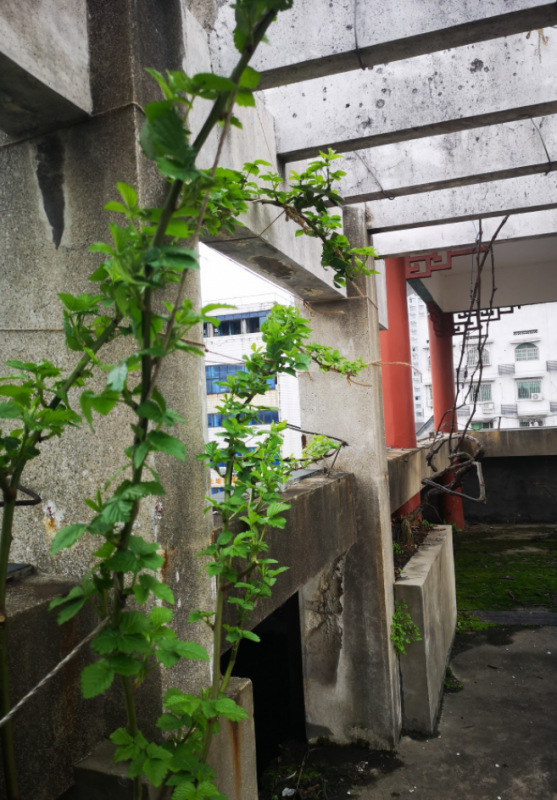 5778d693-96f1-47b7-96c0-66a28f9ff1ff.png
