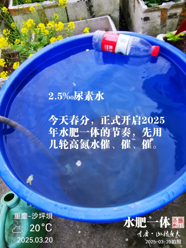 IMG_20250320_174500.jpg