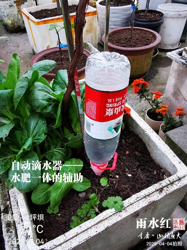 IMG_20250404_185859.jpg