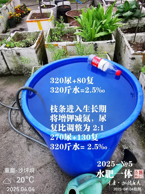 IMG_20250404_174112.jpg