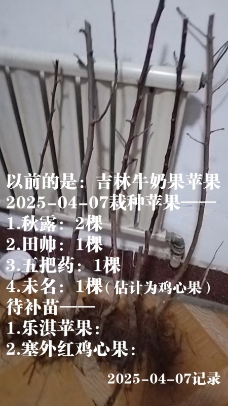 ΢ͼƬ_20250407074148.jpg