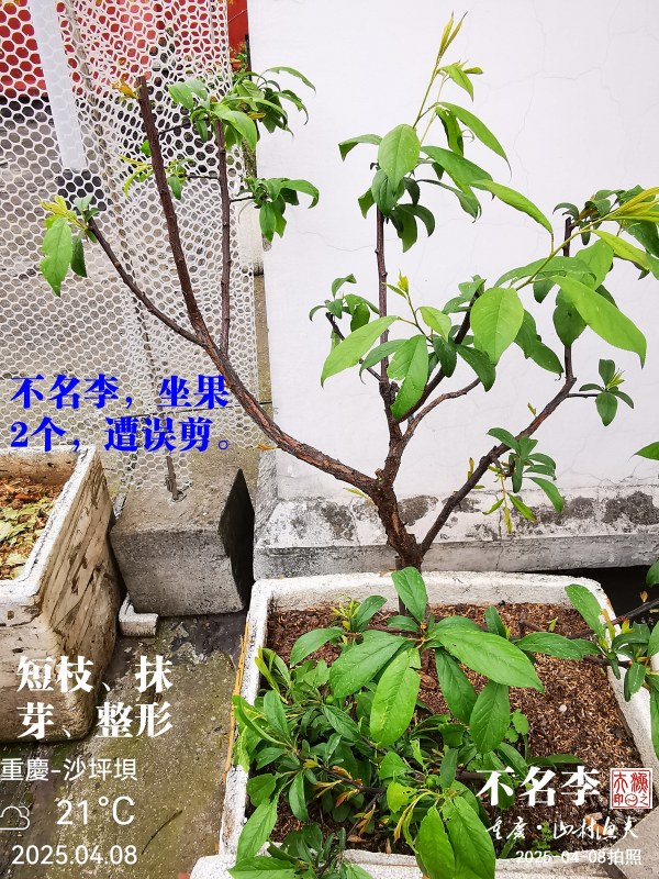 IMG_20250408_094029.jpg