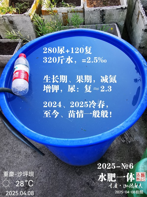 IMG_20250408_173520.jpg
