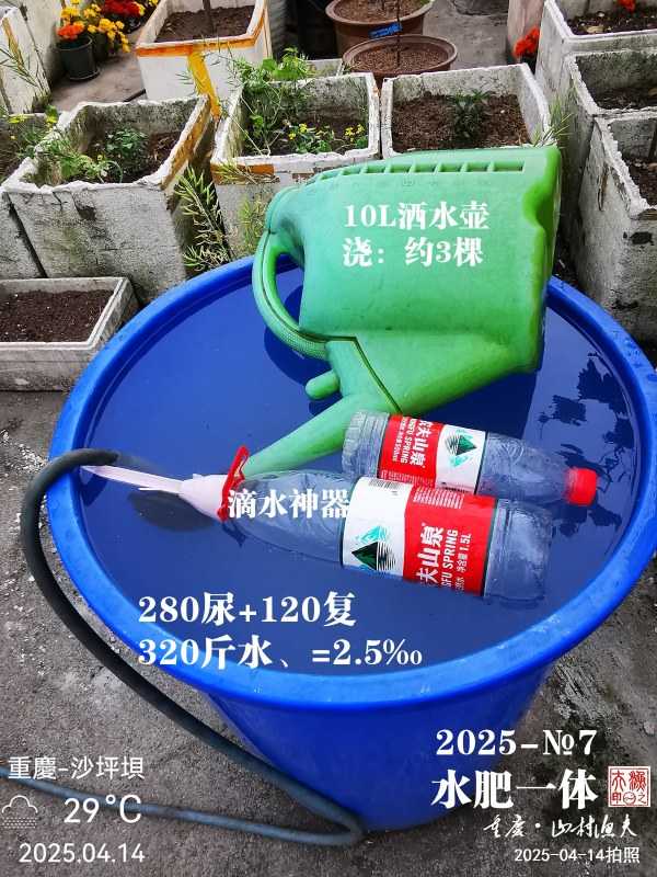 1745370105876.jpg