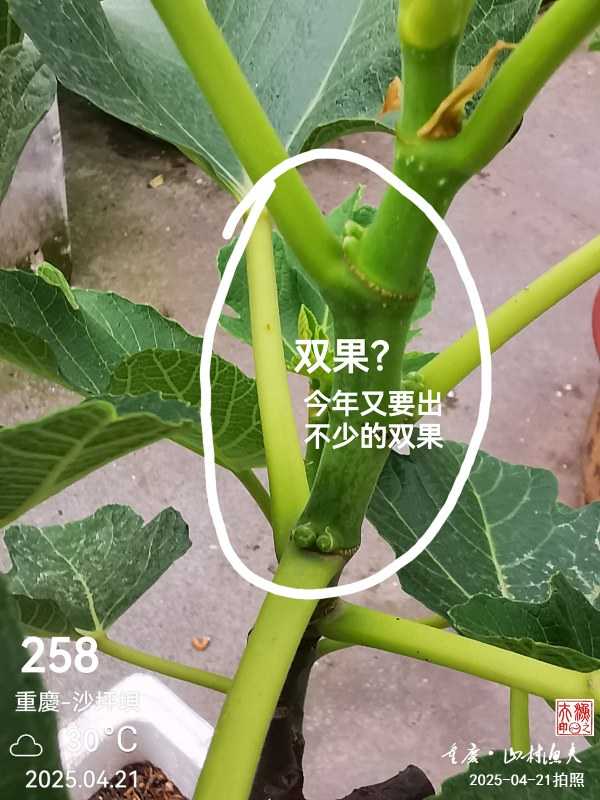 1745369911302.jpg