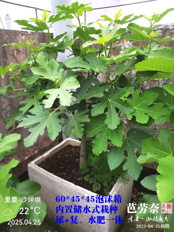IMG_20250425_175912.jpg