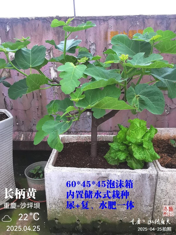 IMG_20250425_182558.jpg