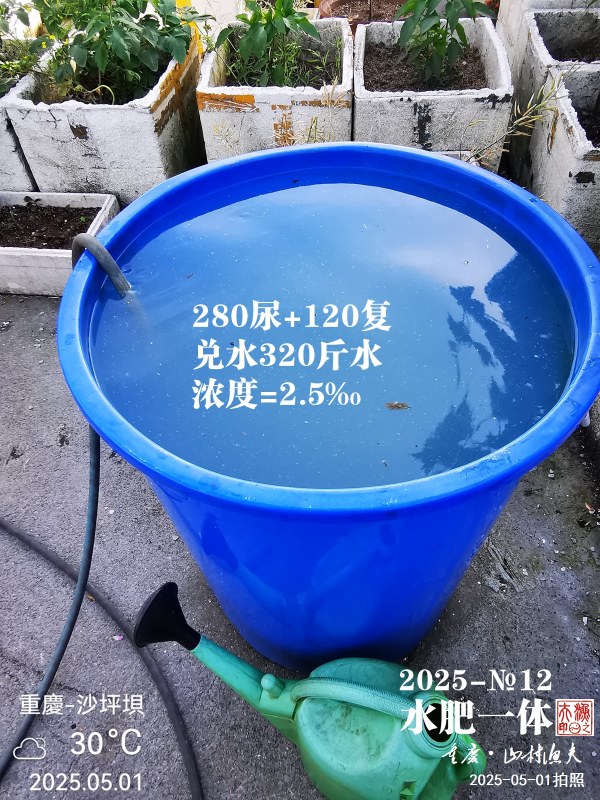 IMG_20250501_174647.jpg