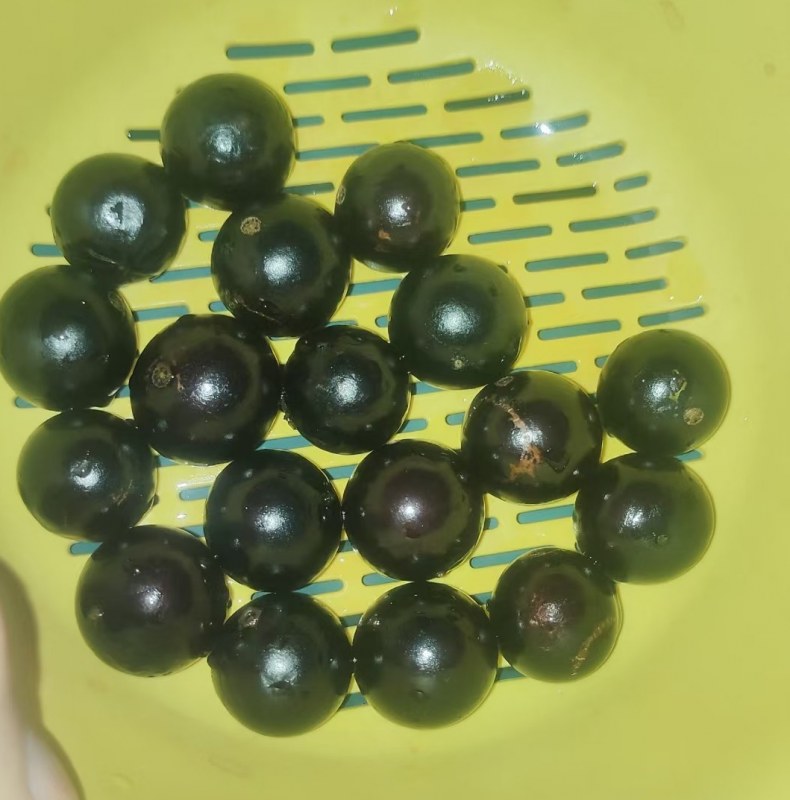΢ͼƬ_20250504170952.jpg