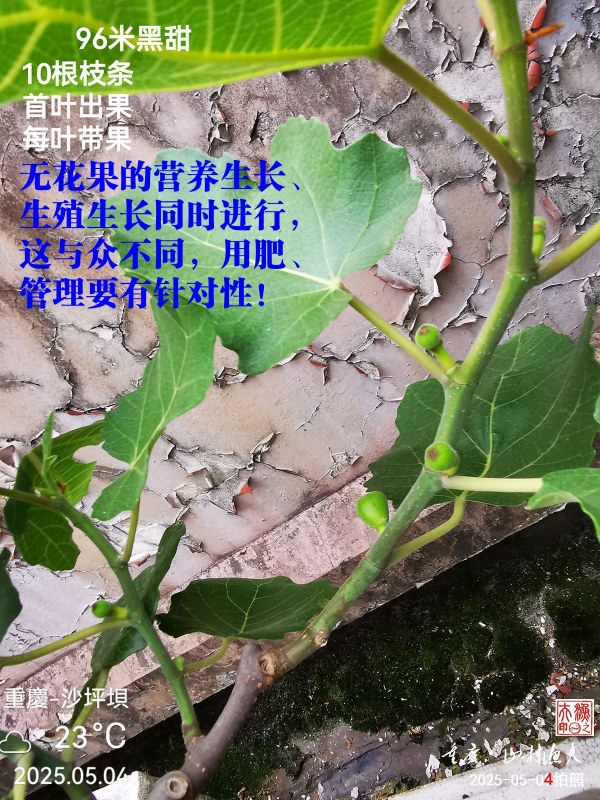 IMG_20250504_080236.jpg