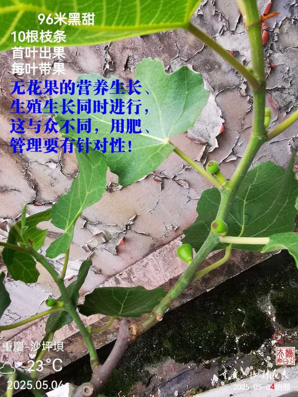 IMG_20250504_080236.jpg