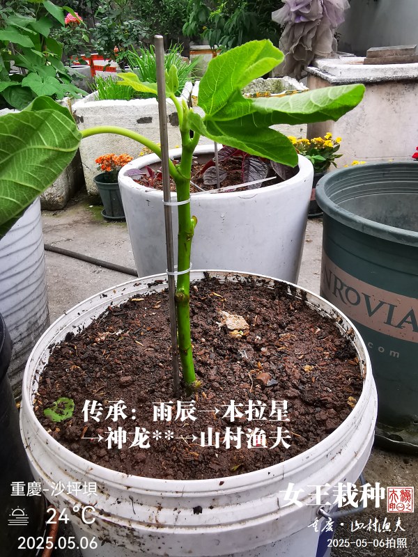 IMG_20250506_172418.jpg