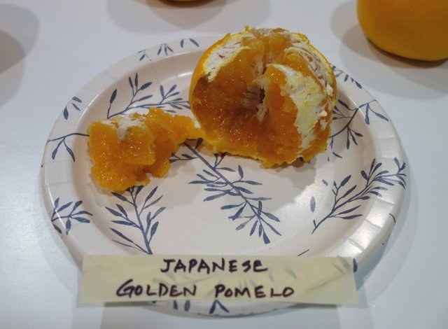 Japanese-Golden-Pomelo-3-12-25-Pic6.jpg
