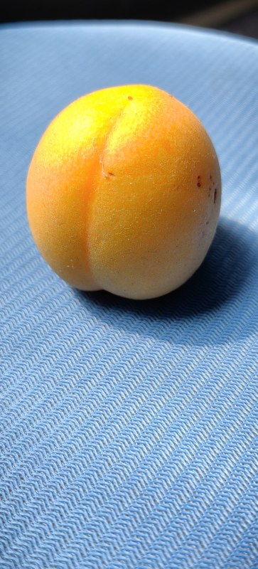 ɫƳ