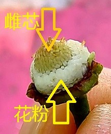 212728bcerkfj3ef3f1gfz.jpg