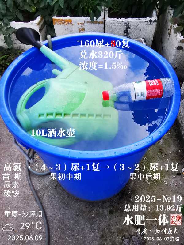 IMG_20250609_180342.jpg
