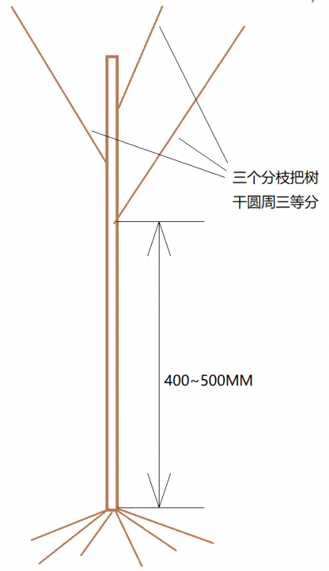 ޱ.png