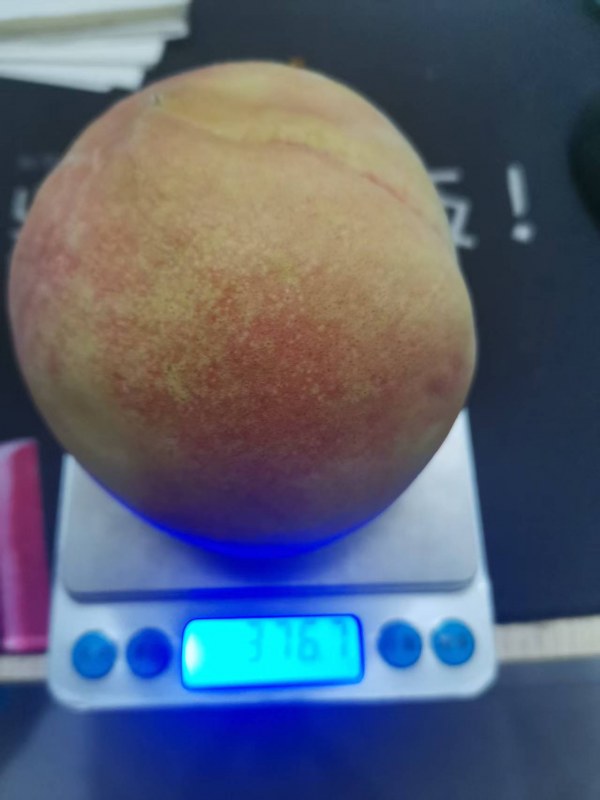 ΢ͼƬ_20250705183119.jpg