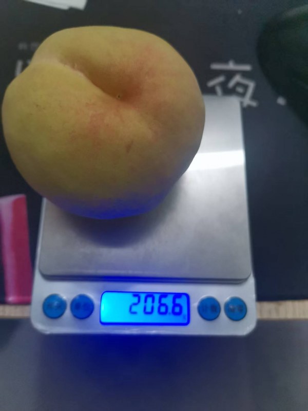 ΢ͼƬ_20250705183129.jpg