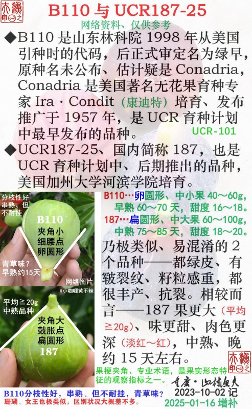 B110UCR187-25-G.jpg