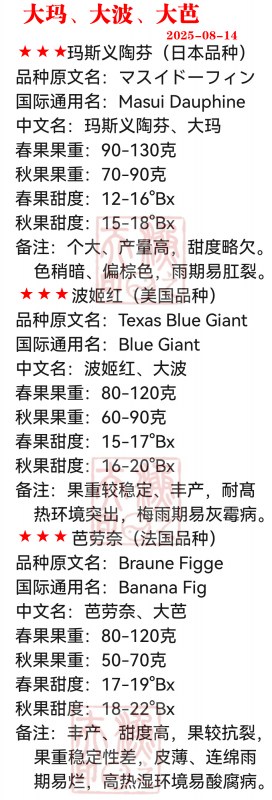 󲨴.jpg