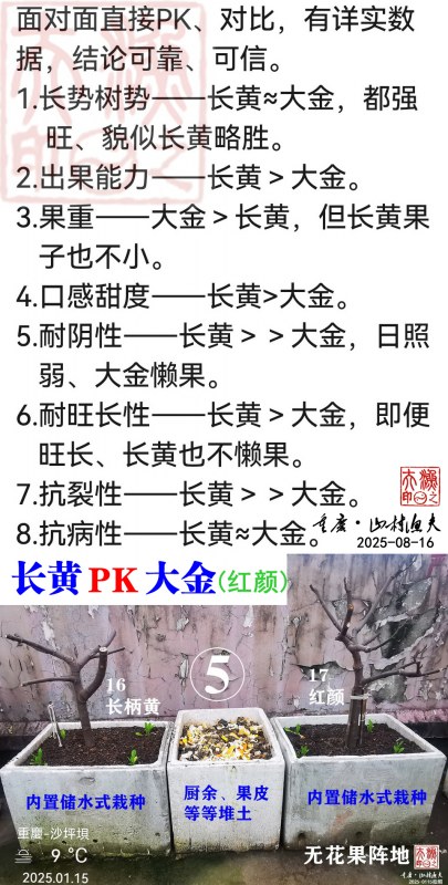 PK.jpg