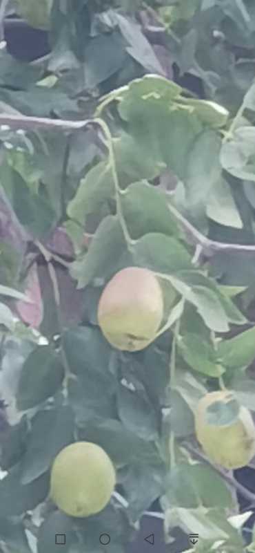 Screenshot_20250824_074839_com.huawei.photos.jpg