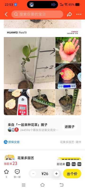 Screenshot_20250831_225301.jpg