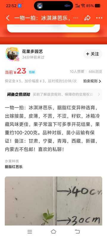 Screenshot_20250831_225255.jpg