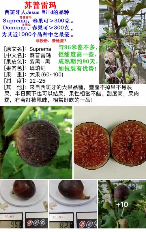 mmexport1756813118134.jpg