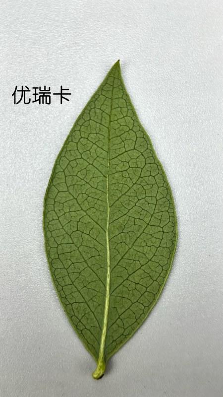2025_09_20_11_48_IMG_4312_��ͼ��.hei.jpg