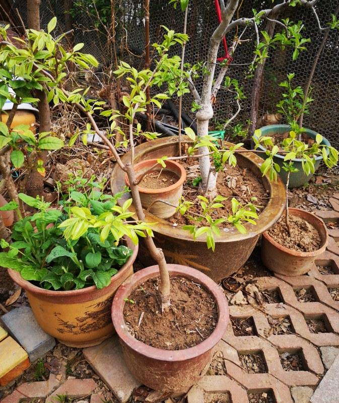 �ڶ��꿪��