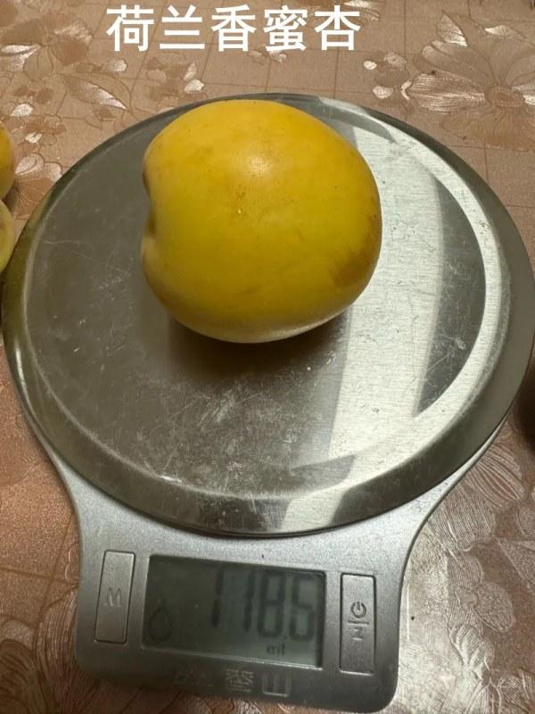 ����������002.jpg