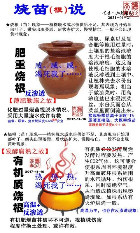 ���磨����.jpg