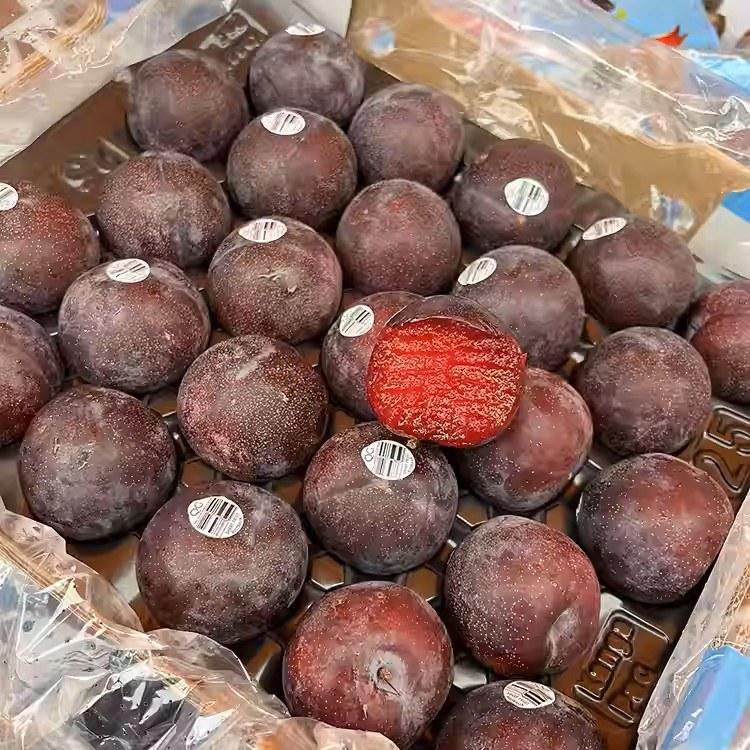 50.jpg
