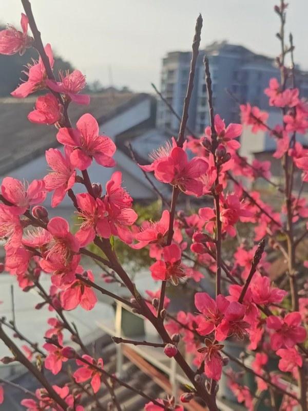 �һ��ر�Ư��