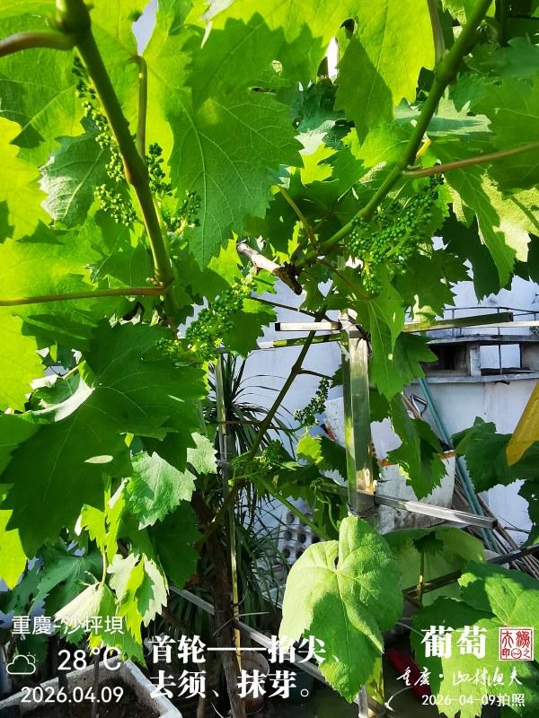 IMG_20260409_165727.jpg