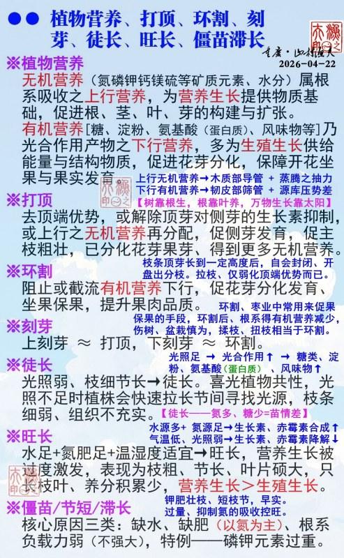 ֲ��Ӫ�����򶥡������ѿ��ͽ���������������ͳ�.jpg
