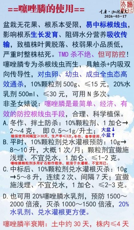 ����좵�ʹ��.jpg