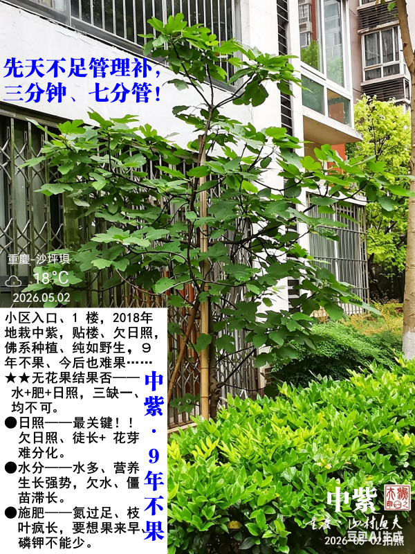 IMG_20260502_085153.png