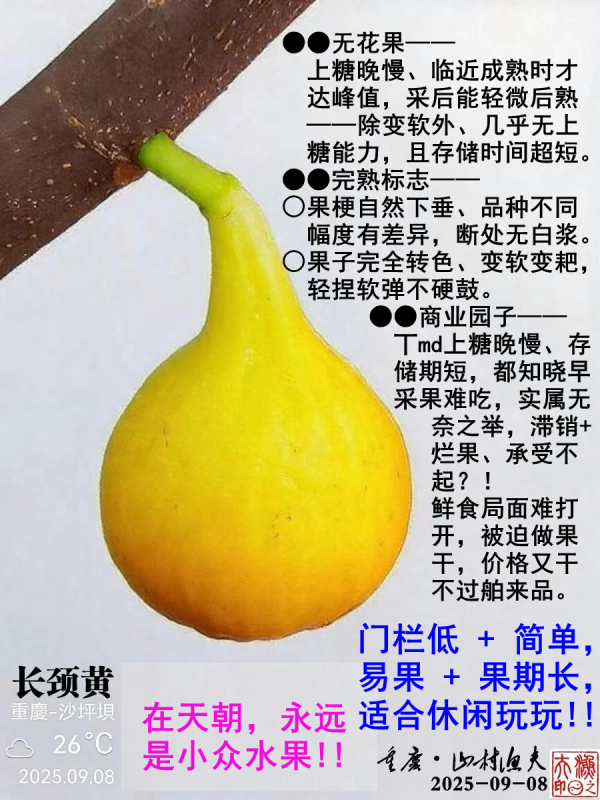 �޻������졢����.png